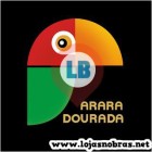 ARARA DOURADA (2)